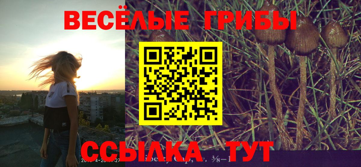 Туапсе  Галлюциногенные грибы GOLDEN TEACHER  Галлюциногенные грибы MAGIC MUSHROOMS  Вход с VPN 