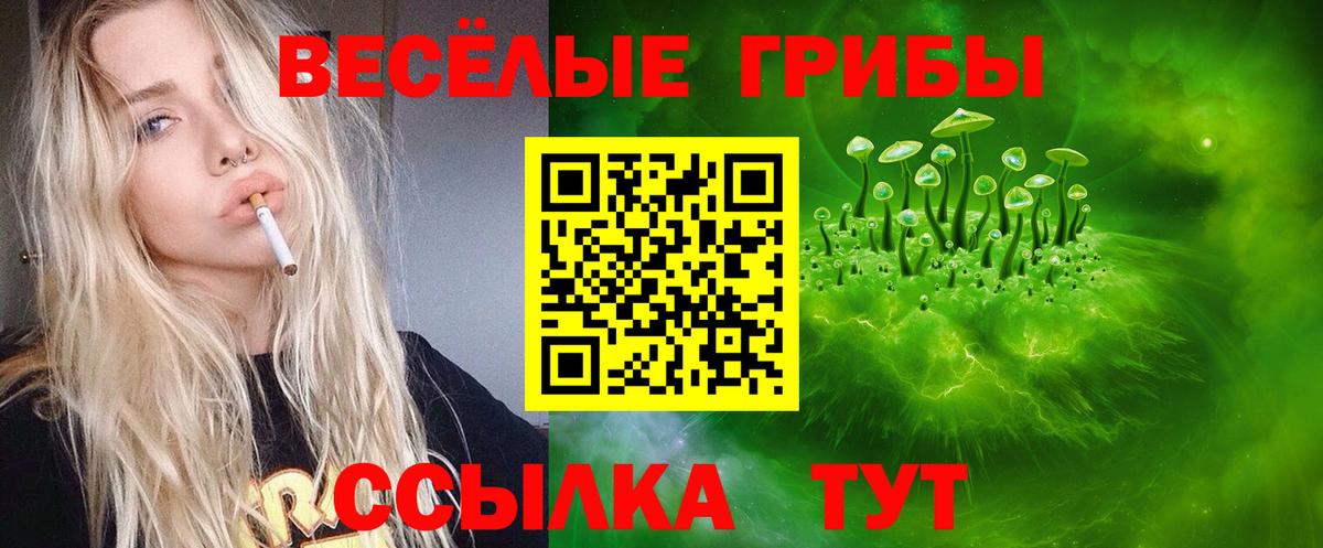 Псилоцибиновые грибы мицелий Туапсе
